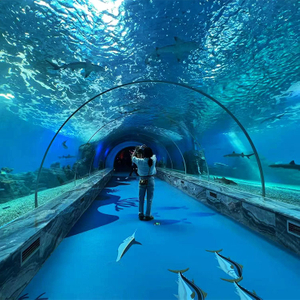 ¿Por qué es tan popular el túnel del acuario de Georgia? Fábrica de productos de láminas acrílicas Leyu