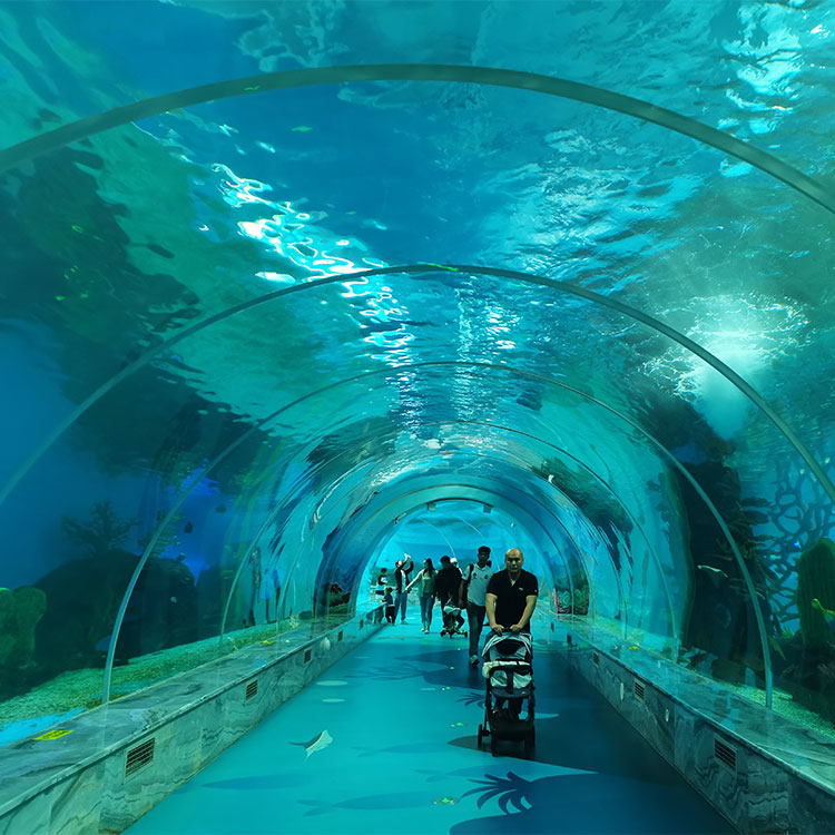 Tanque de acrílico Leyu Usted en un paseo por el túnel del acuario-Fábrica de productos de láminas acrílicas Leyu