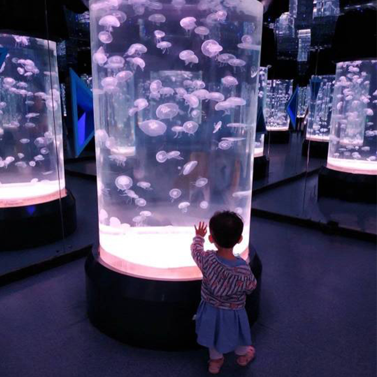 Acuario de medusas - Leyu