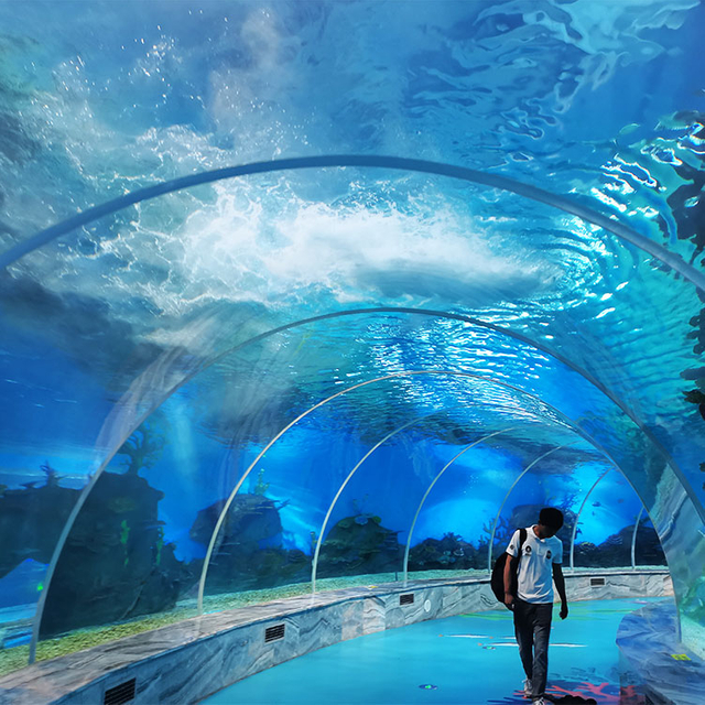 ¿Por qué es tan popular el túnel del acuario? Fábrica de productos de láminas acrílicas Leyu