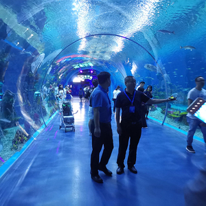 2024 Venta caliente túnel acrílico acuario pecera-Leyu fábrica de productos de láminas acrílicas