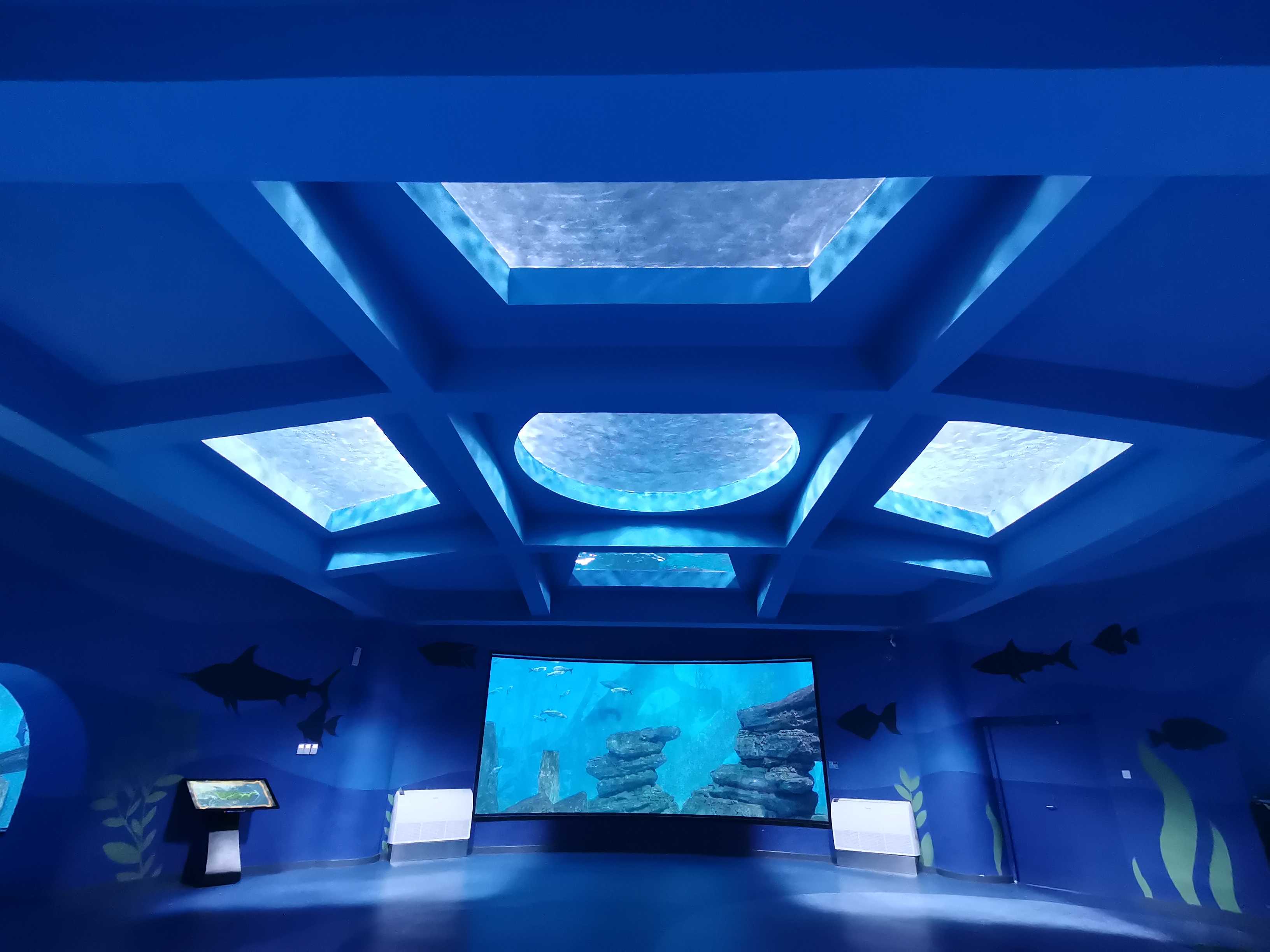  Oceanario oceanario de lisboa cerca de mí bar puerto oceanario Leyu fábrica de acuarios acrílicos personalización profesional - Leyu