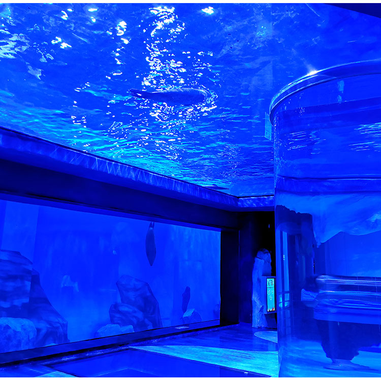 Oceanario restaurante oceanario de chicago cómo limpiar una pecera Fábrica de acuarios acrílicos Leyu - Leyu
