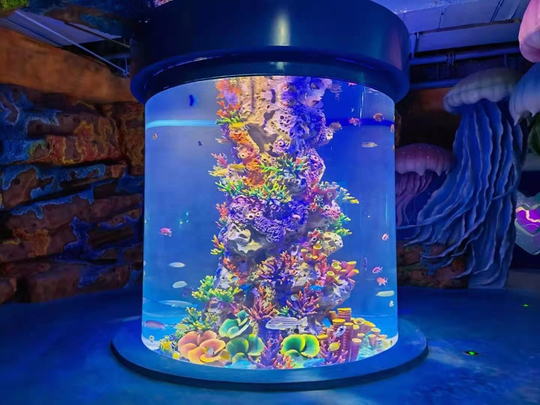 acrylic aquarium.jpg