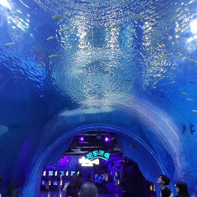 Túnel del acuario Leyu