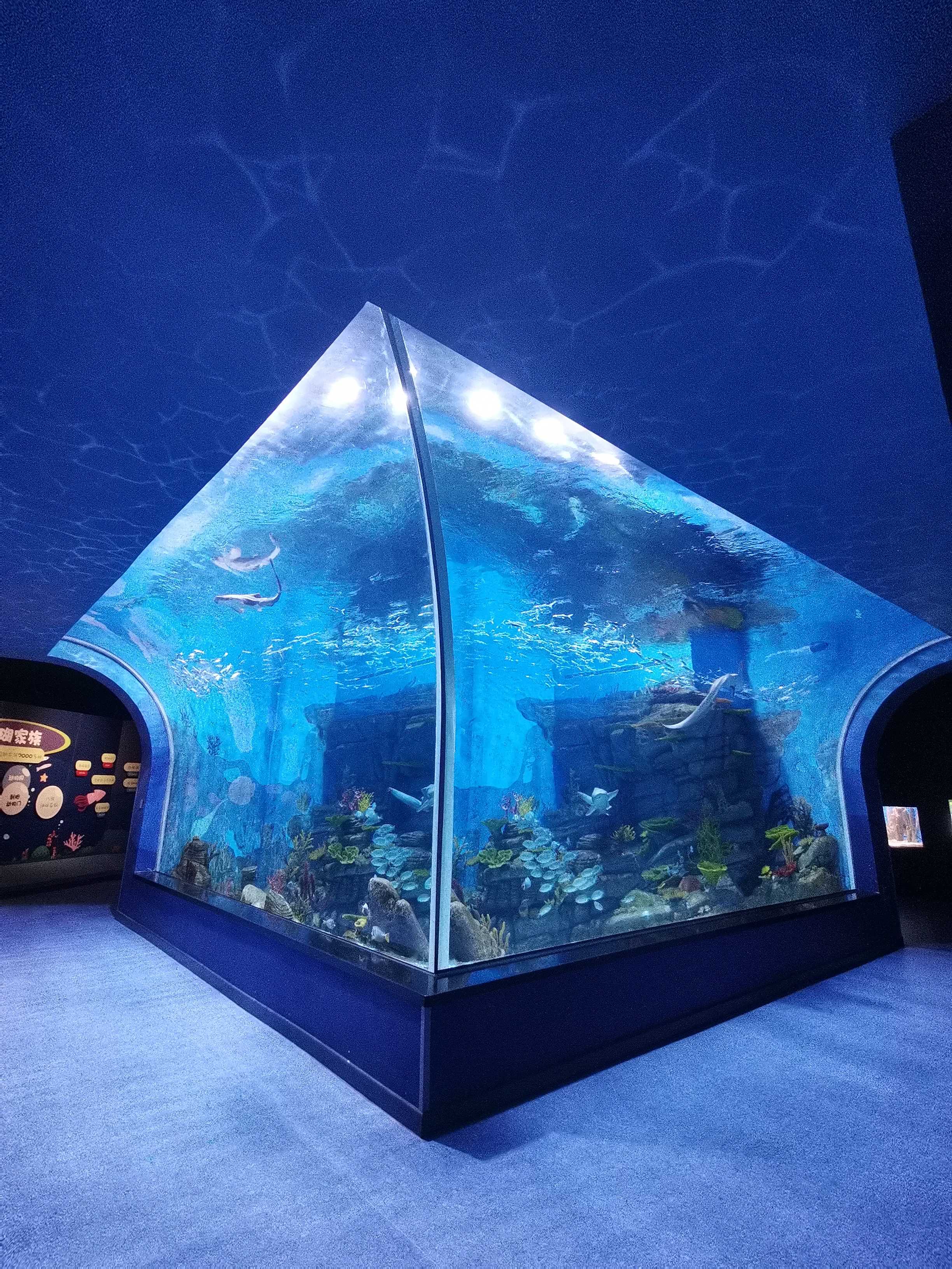  Oceanario oceanario de lisboa cerca de mí bar puerto oceanario Leyu fábrica de acuarios acrílicos personalización profesional - Leyu