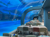 Gran tanque de acuario de oceanario curvo ultra claro, túnel de vidrio acrílico, fábrica de acuarios de acrílico Leyu - Leyu 