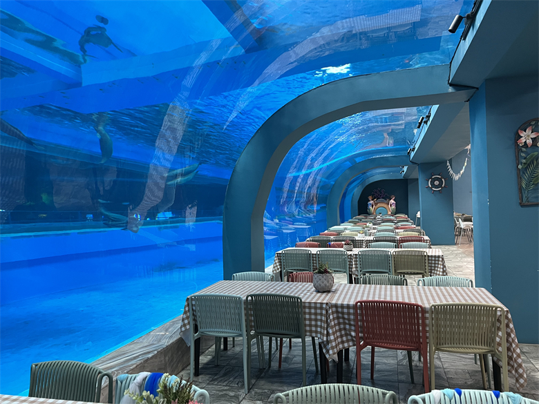 Gran tanque de acuario de oceanario curvo ultra claro, túnel de vidrio acrílico, fábrica de acuarios de acrílico Leyu - Leyu 