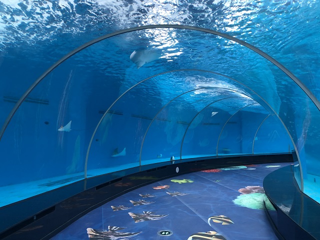 túnel del acuario