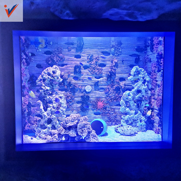 Ventana de visualización acrílica personalizada para acuario