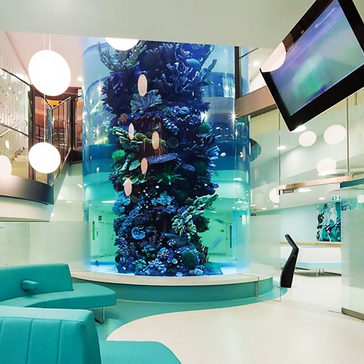 Leyu Acrylic Aquarium Factory ha completado más de 70 arquitecturas de acuarios - Leyu
