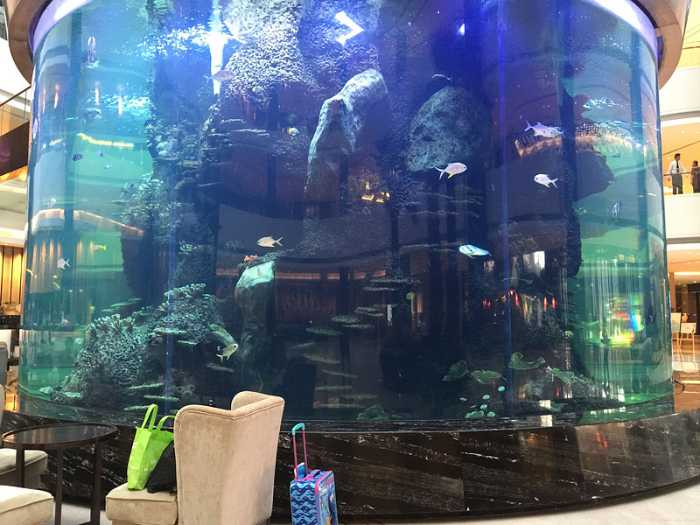 ¿Cuál es el mejor limpiador para tanques de acuarios de peces acrílicos Ocean Park Cusotm Fish Tank-Leyu? 