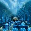 360 Acuario Túnel Polar Ocean World - Leyu