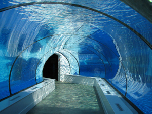 Reparación de rayones en la superficie del túnel para peces para acuarios - Fábrica de productos de láminas acrílicas Leyu