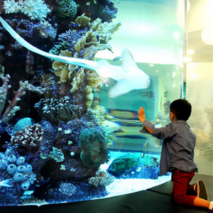 La tienda Aquarium Cafe tiene ventanas acrílicas, túneles de acuario acrílicos y peceras acrílicas - Leyu