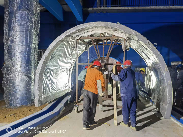 El acuario túnel cerca de nosotros está hecho de lámina acrílica Leyu- Leyu 