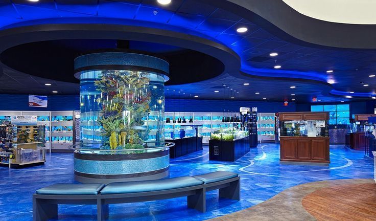 Personalizado un acuario acrílico seaclear a la venta en línea- Leyu 