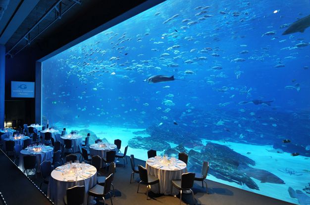 Restaurante con fuente de agua acrílica - diseño