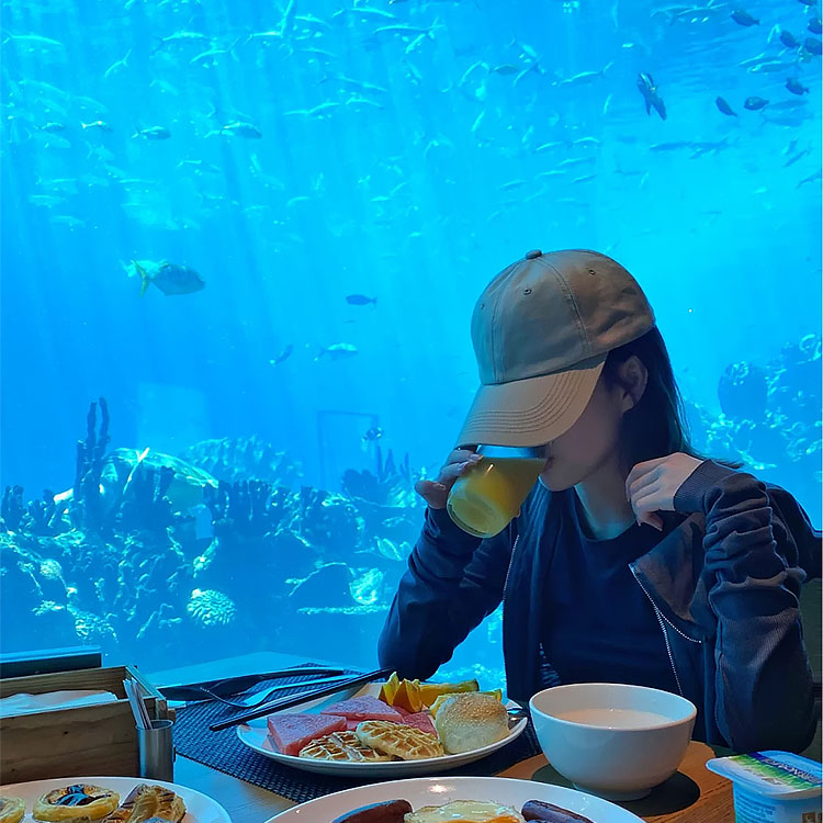 La tienda Aquarium Cafe tiene ventanas acrílicas, túneles de acuario acrílicos y peceras acrílicas - Leyu