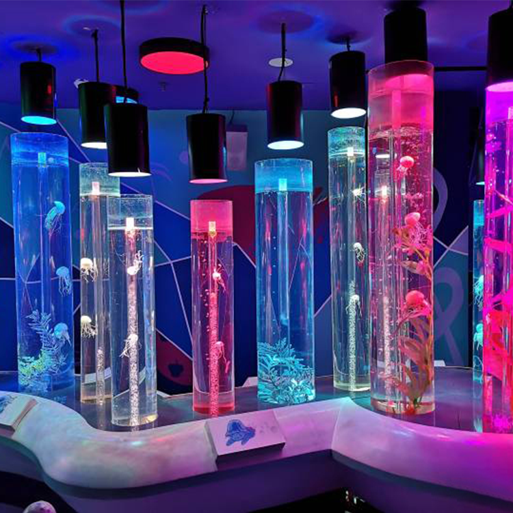 Acuario de medusas ¿Puedo tener medusas en mi acuario? - Leyu
