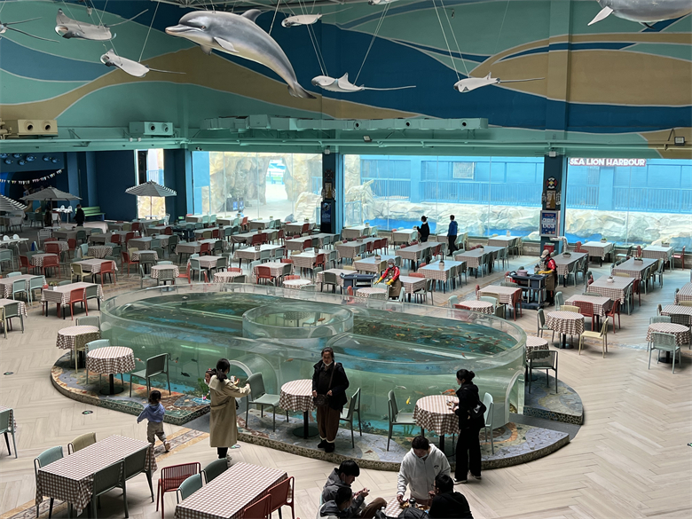 Leyu Acrylic Aquarium Factory vende láminas acrílicas para acuario con un espesor máximo de 800 mm - Leyu
