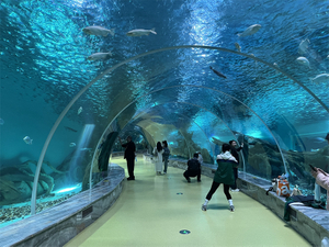 El acuario túnel cerca de nosotros está hecho de lámina acrílica Leyu- Leyu 