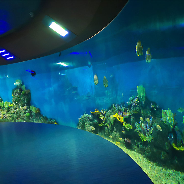 La fábrica china se especializa en ventanas acrílicas personalizadas para oceanario.- leyu 