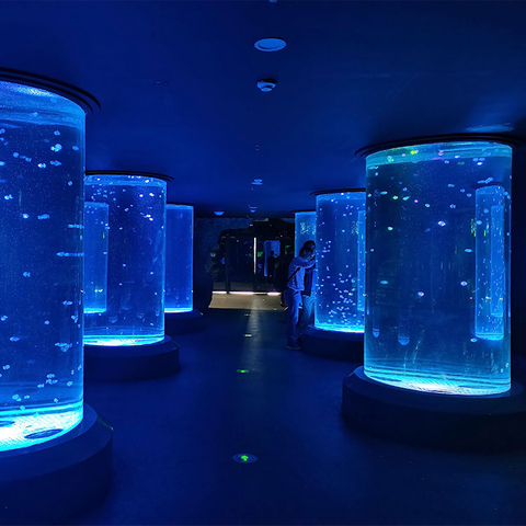 Dónde comprar acuario cilíndrico de medusas - Leyu